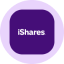 iShares MSCI India Tokenized ETF (Ondo) icon